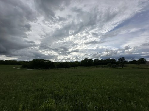 A wide view of a grassy field under a cloudy sky, with trees in the background and a winding path.