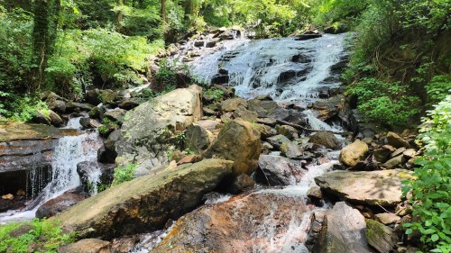 A serene waterfall cascading over rocks, surrounded by lush green foliage in a tranquil forest setting.
