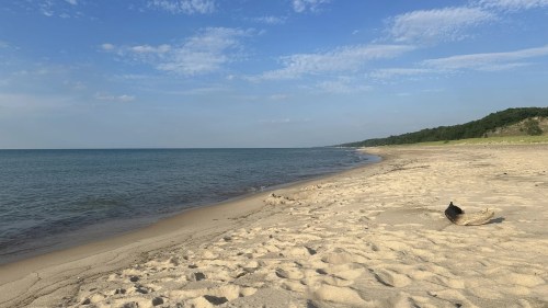 A serene beach scene with soft sand, gentle waves, and a clear blue sky, bordered by green hills in the distance.