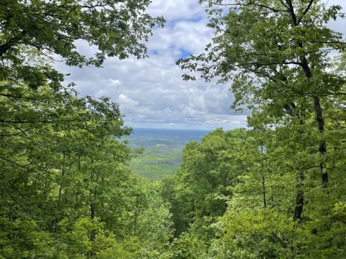 A scenic view of lush green trees framing a distant landscape under a partly cloudy sky.