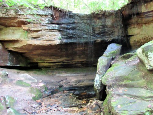 A rocky overhang with a small waterfall, surrounded by lush greenery and scattered stones on the ground.