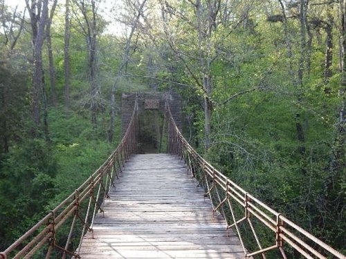 A wooden suspension bridge surrounded by lush green trees, leading into a forested area.