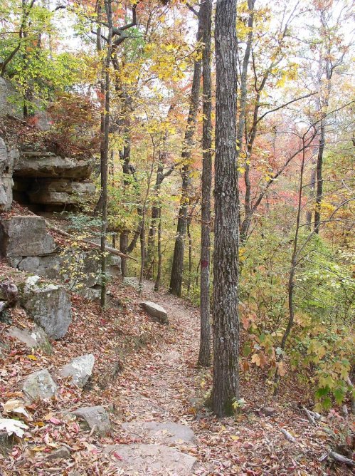 A winding trail through a forest with colorful autumn leaves and rocky outcrops.