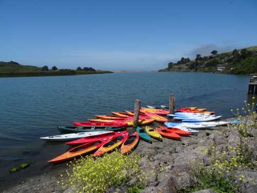 Colorful kayaks arranged in a circle on the shore of a calm river, surrounded by greenery and blue skies.