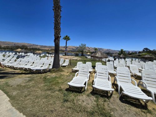 A sunny outdoor area with rows of white lounge chairs, palm trees, and a view of hills and water in the background.