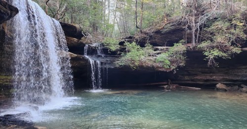 A serene waterfall cascades into a clear pool, surrounded by lush greenery and rocky cliffs.