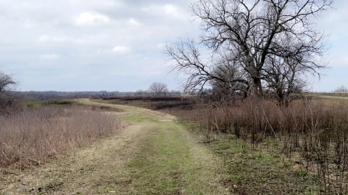 A grassy path winds through a landscape with sparse trees and dry vegetation under a cloudy sky.