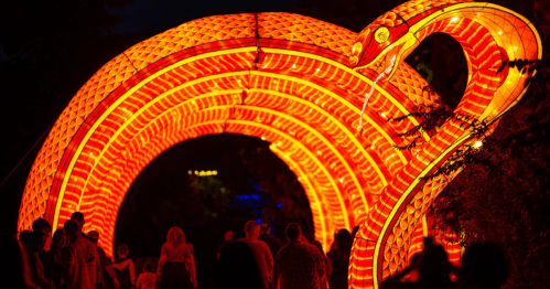 A vibrant, illuminated snake archway with people walking underneath at night.