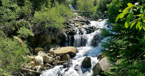 A serene waterfall cascades over rocks, surrounded by lush green trees and foliage.