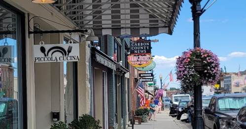 A charming street scene featuring shops, hanging flower baskets, and flags along a sunny sidewalk.