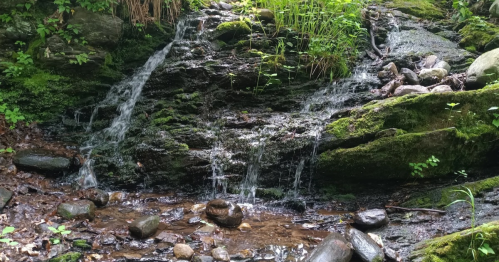 A small waterfall cascades over moss-covered rocks in a lush, green forest setting.