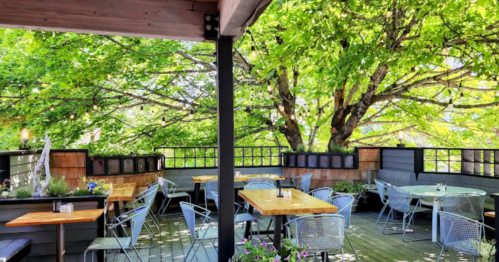 A cozy outdoor dining area with wooden tables, metal chairs, and lush green trees overhead.
