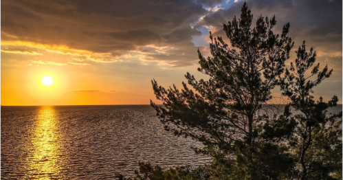 A serene sunset over the water, with a silhouette of a tree in the foreground against a colorful sky.