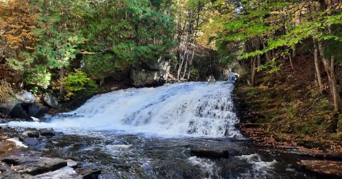 A serene waterfall cascades over rocks, surrounded by vibrant autumn foliage and a peaceful forest setting.