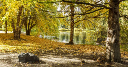 A serene park scene with trees in autumn colors, fallen leaves, and a calm pond reflecting the surroundings.
