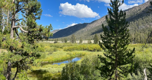 A serene landscape featuring a lush green valley, a winding stream, and mountains under a blue sky with fluffy clouds.