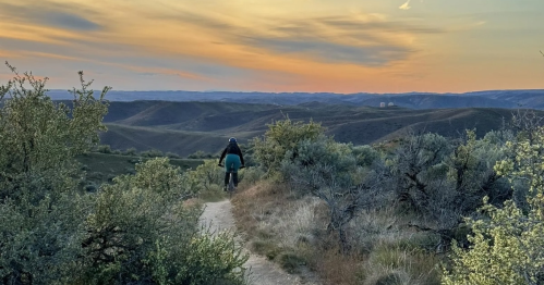 A person biking on a trail surrounded by greenery, with rolling hills and a colorful sunset in the background.