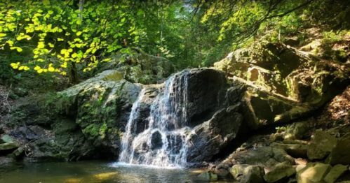 A serene waterfall cascading over rocks, surrounded by lush green foliage and dappled sunlight.