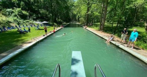 A serene swimming pool surrounded by trees, with people swimming and relaxing on the poolside.