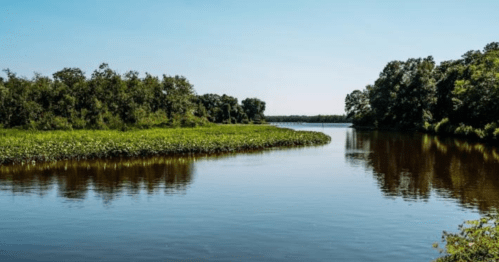 A serene river scene with lush greenery on the banks and clear blue skies reflecting on the water's surface.