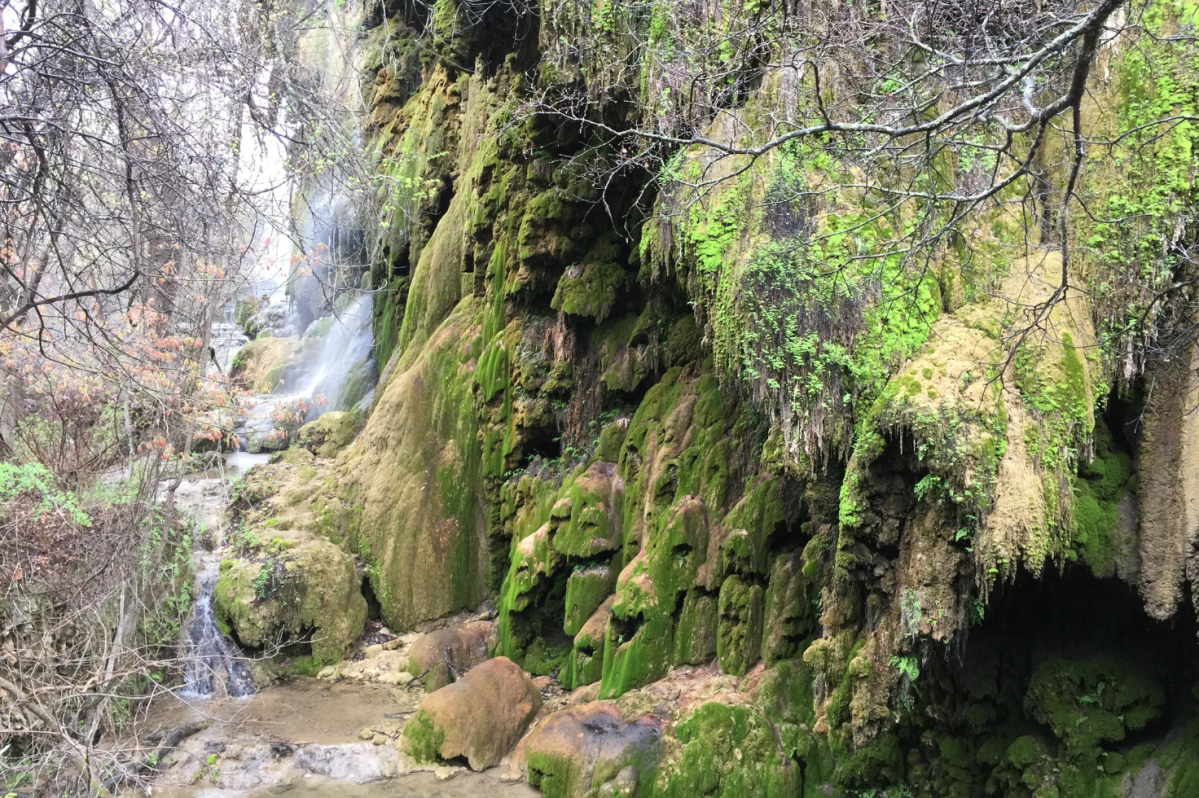 The Scenic Road Trip That Will Make You Fall in Love With the Beauty of Texas All Over Again