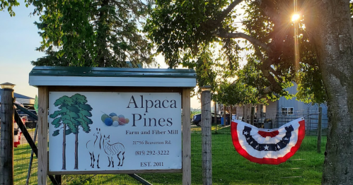 Sign for Alpaca Pines Farm and Fiber Mill, featuring trees and alpacas, with a patriotic banner and sunlight in the background.