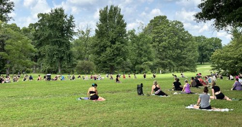 A large group of people practicing yoga outdoors on a grassy field surrounded by trees under a partly cloudy sky.