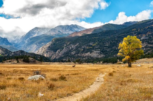 A scenic landscape featuring mountains, a golden tree, and a dirt path through a grassy meadow under a partly cloudy sky.