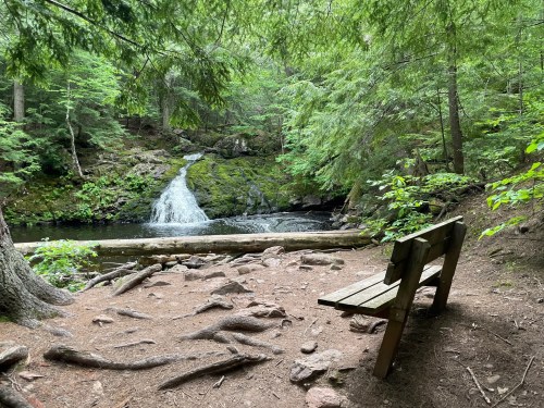 A serene forest scene featuring a small waterfall, a mossy log, and a wooden bench surrounded by lush greenery.