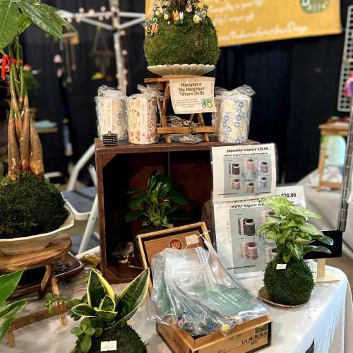 A display of decorative plants and moss arrangements in a shop, featuring various pots and plant accessories.