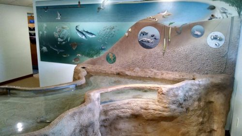 A textured wall display featuring aquatic life, with a shallow water feature and illustrations of fish and marine scenes.