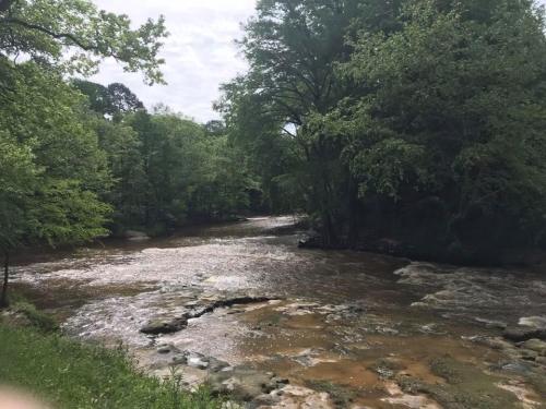 A serene river flows through a lush green landscape, surrounded by trees under a cloudy sky.