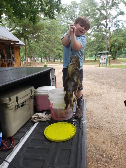 A young boy proudly holds up several large fish beside a pickup truck in a park setting.