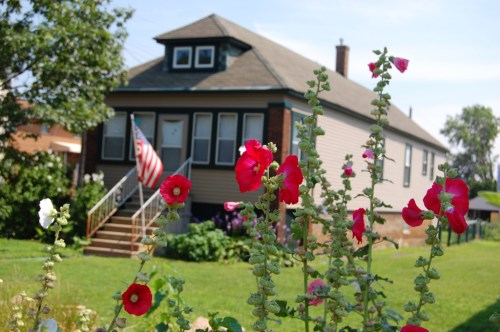 A charming house with an American flag, surrounded by vibrant pink and white hollyhocks in a sunny garden.