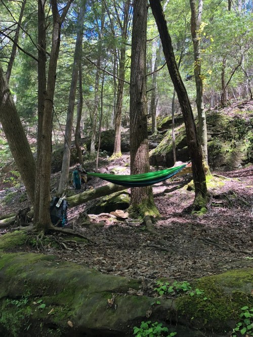 A green hammock hangs between two trees in a serene forest setting, surrounded by rocks and lush greenery.