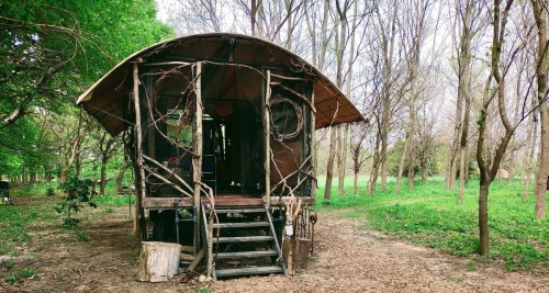 A rustic cabin made of wood and vines, surrounded by bare trees and greenery in a serene outdoor setting.