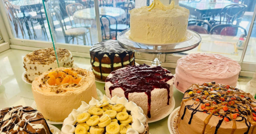 A display of various colorful cakes, including chocolate, fruit, and cream varieties, in a bright bakery setting.