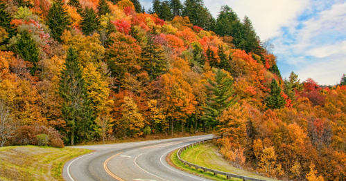 A winding road surrounded by vibrant autumn foliage in shades of orange, red, and yellow.