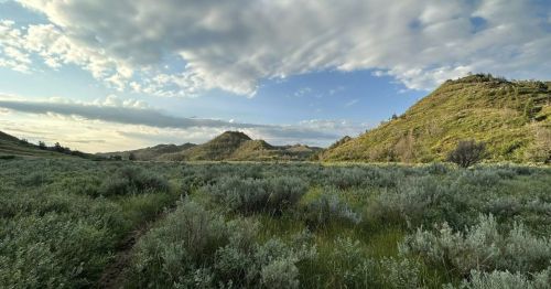A scenic landscape featuring rolling green hills under a cloudy sky, with a foreground of lush vegetation.