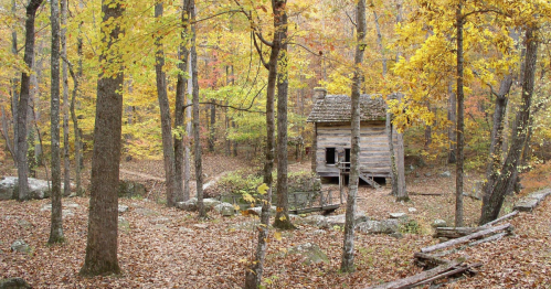 A rustic wooden cabin surrounded by vibrant autumn foliage and fallen leaves in a serene forest setting.