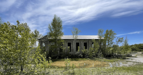 Abandoned building surrounded by greenery under a blue sky with wispy clouds.