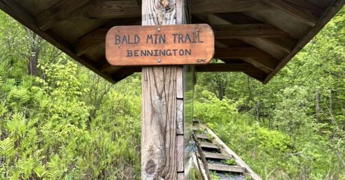 Wooden sign for Bald Mt Trail in Bennington, surrounded by lush greenery and a wooden shelter structure.