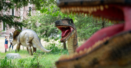 A close-up of a dinosaur model with another dinosaur in the background, set in a green outdoor area.