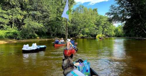 A group of people kayaking on a calm river surrounded by lush greenery and blue skies.