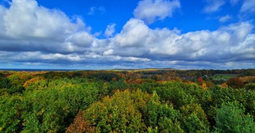 A vibrant landscape of green and autumn-colored trees under a blue sky with fluffy clouds.