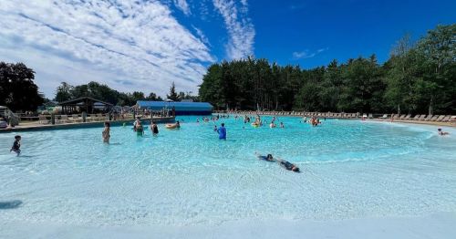 A sunny outdoor pool scene with people swimming and relaxing, surrounded by trees and a clear blue sky.