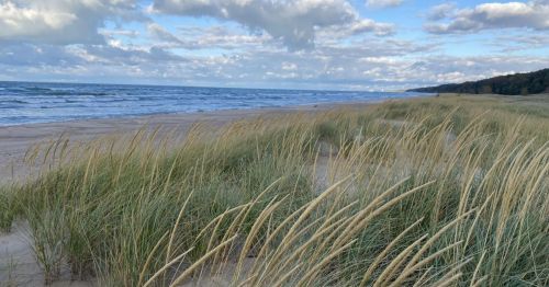 A serene beach scene with tall grass swaying in the wind, waves gently lapping at the shore under a cloudy sky.