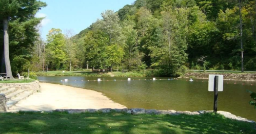 A serene lakeside view with sandy shore, surrounded by lush green trees and calm water.