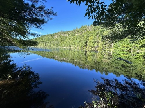 A serene lake surrounded by lush greenery, reflecting the clear blue sky and trees on a calm day.