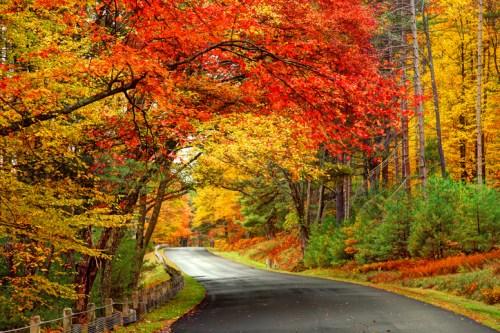 A winding road surrounded by vibrant autumn foliage in shades of red, orange, and yellow.
